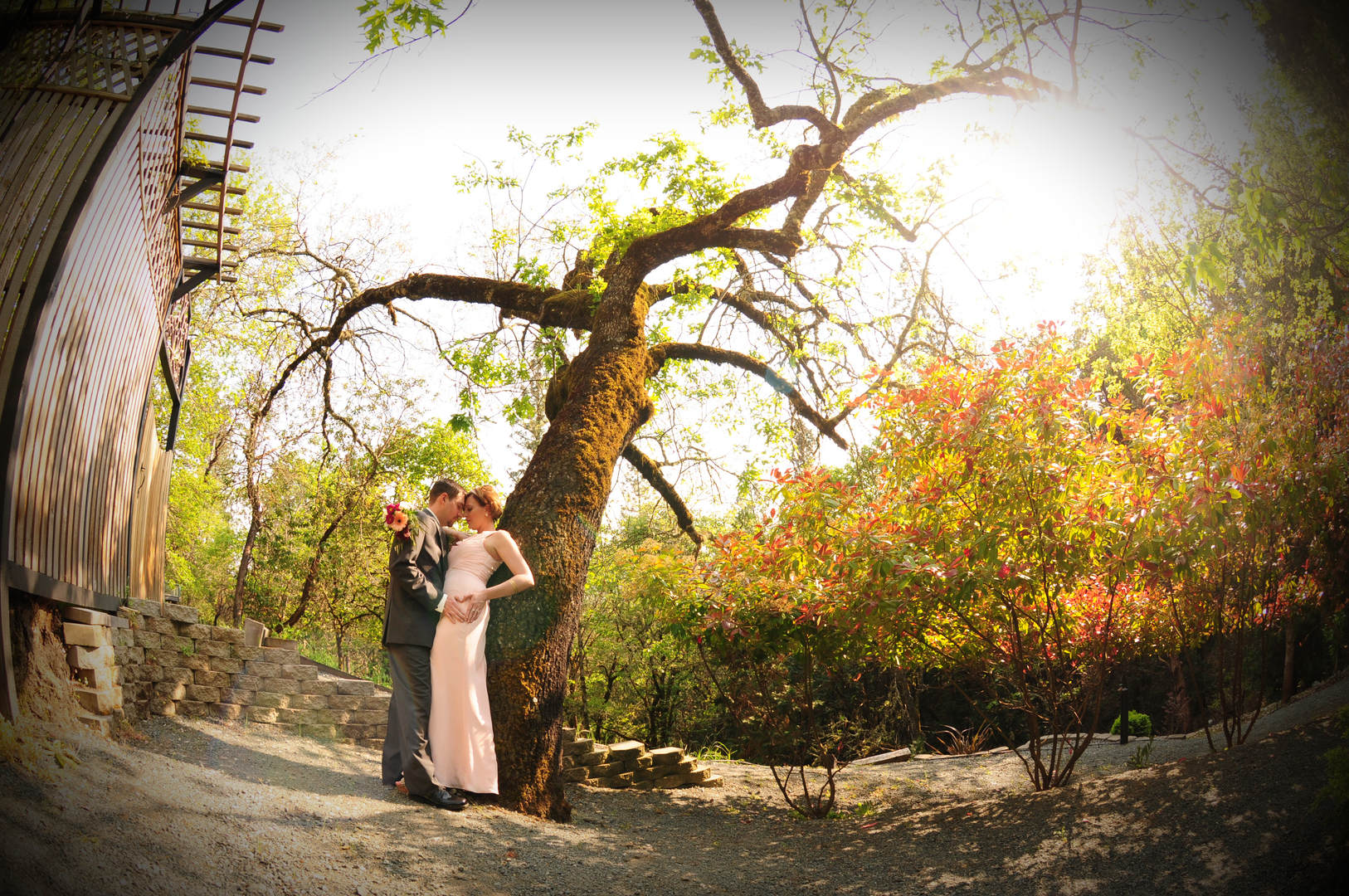 Laura Pearson Photography