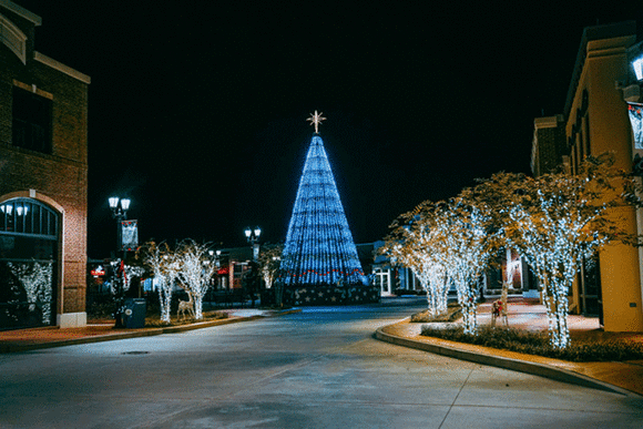 3rd Annual Tree Lighting Ceremony at OWA