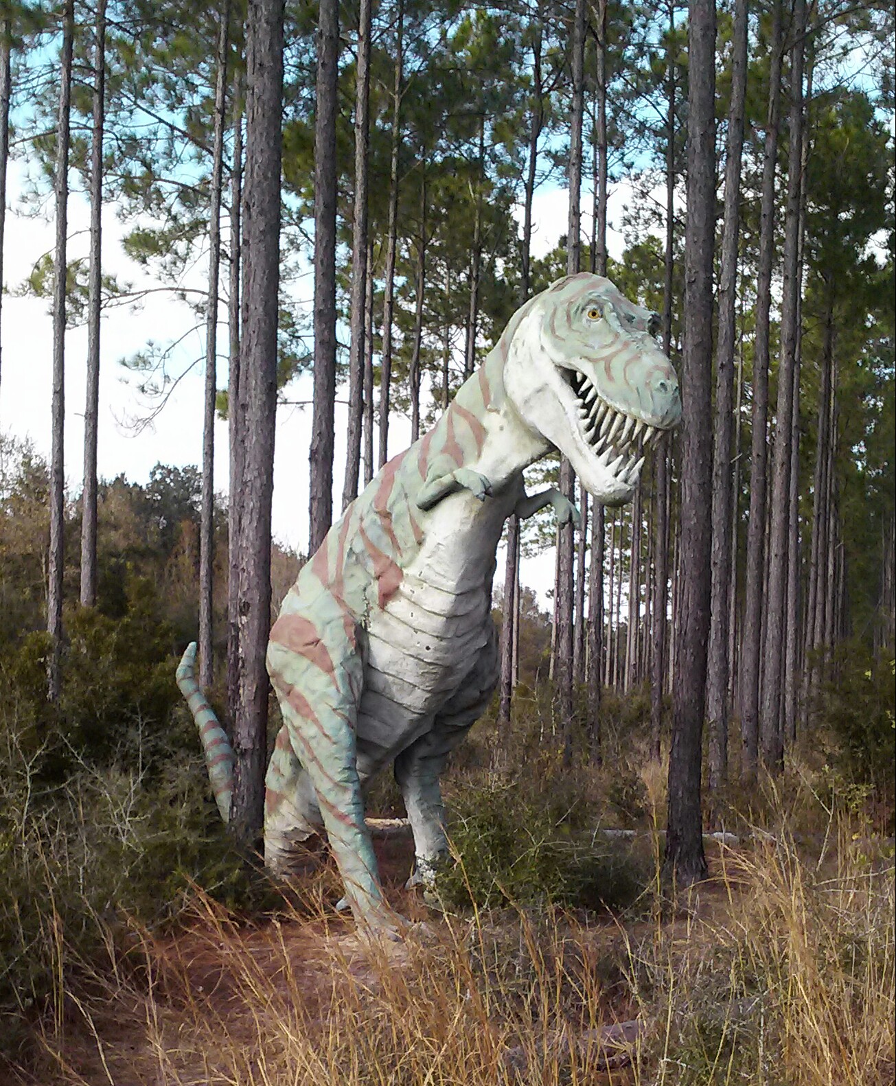 Barber Marina Dinosaurs Visit Foley
