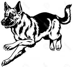 United States Police Canine Association (USPCA) DPI Field Trials and Certifications for 2017