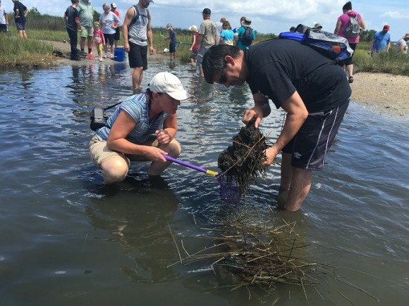 Salt Marsh Excursion